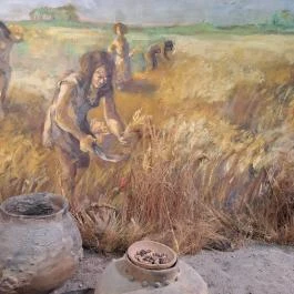 Tornyai János Múzeum és Közművelődési Központ, Hódmezővásárhely - Egyéb