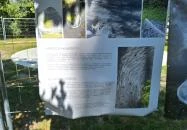 Törőcsik Mari emlékhely Budapest