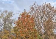 Törőcsik Mari emlékhely Budapest