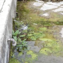 Török-kút, Zsámbék - Egyéb