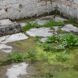 Török-kút, Zsámbék - Egyéb