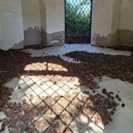 Török mecset Tata - Belső