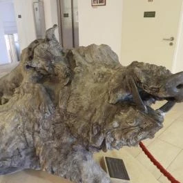 Vadászati Múzeum Keszthely - Egyéb