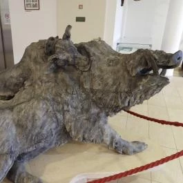 Vadászati Múzeum Keszthely - Egyéb