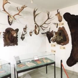 Vadászati Múzeum Keszthely - Egyéb