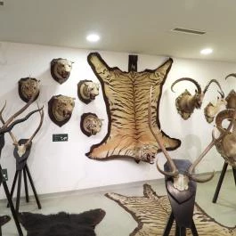 Vadászati Múzeum Keszthely - Egyéb