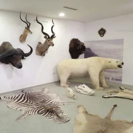 Vadászati Múzeum Keszthely - Egyéb