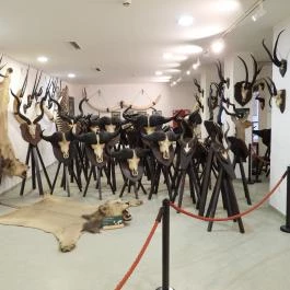 Vadászati Múzeum Keszthely - Egyéb