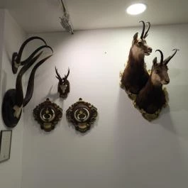 Vadászati Múzeum Keszthely - Egyéb