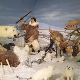 Vadászati Múzeum Keszthely - Egyéb