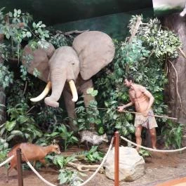 Vadászati Múzeum Keszthely - Egyéb