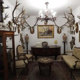Vadászati Múzeum Keszthely - Belső