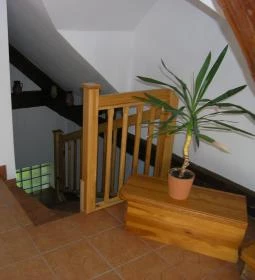 Trainex Őrségi Vendégház