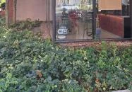 Tranzit by Flow Budapest