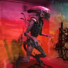 Trash Art Museum Budapest - Egyéb