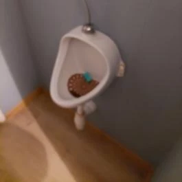 Trattoria da Matteo Szekszárd - Mosdó