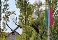 Trianon emlékmű Törökbálint