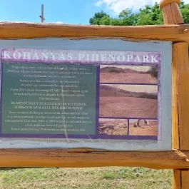 Trianon emlékmű Sokorópátka - Egyéb