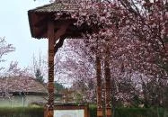 Trianon emlékpark Dunavarsány