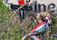 Trianon liget Kiskunhalas