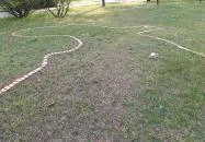 Trianon liget Kiskunhalas