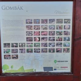 Trianoni emlékmű, Mikóháza - Egyéb