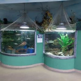 Tropicarium Budapest - Belső