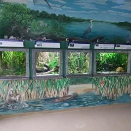 Tropicarium Budapest - Belső