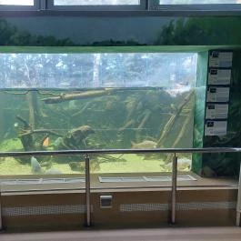 Tropicarium Budapest - Belső