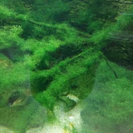 Tropicarium Budapest - Egyéb