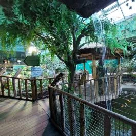 Tropicarium Budapest - Belső