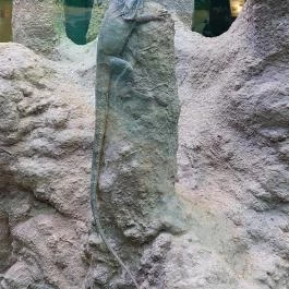 Tropicarium Budapest - Belső