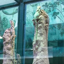 Tropicarium Budapest - Belső