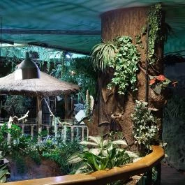 Tropicarium Budapest - Belső