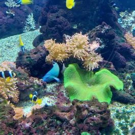 Tropicarium Budapest - Belső