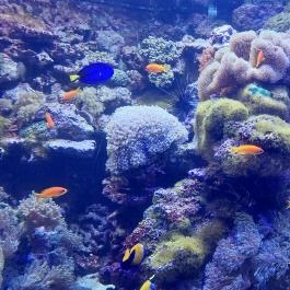 Tropicarium Budapest - Belső