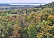 Tücsökdomb kilátó Nemesvita