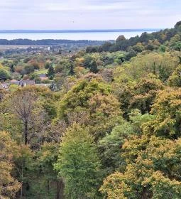 Tücsökdomb kilátó