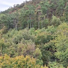 Tücsökdomb kilátó Nemesvita - Külső kép