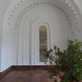 Tudomány és Művészetek Háza Kecskemét - Egyéb