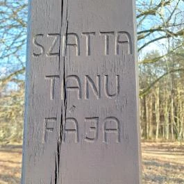 Túlélés fája, Szatta - Egyéb