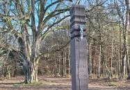 Túlélés fája Szatta