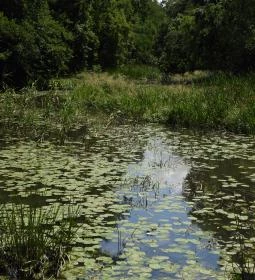 Túristvándi Vízimalom