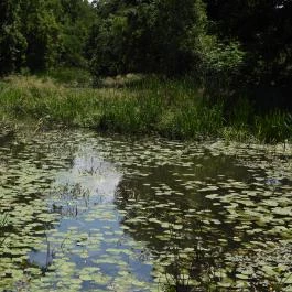 Túristvándi Vízimalom Túristvándi - Külső kép