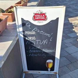 Turisztikai Főpályaudvar, Békéscsaba - Egyéb