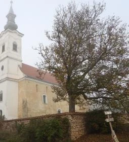 Túrony Árpád-kori temploma