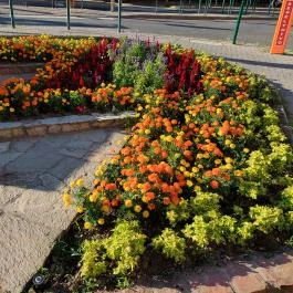 Turul szobor Budapest - Külső kép