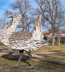 4. legjobb látnivaló: Túzok