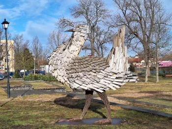 Túzok Balmazújváros