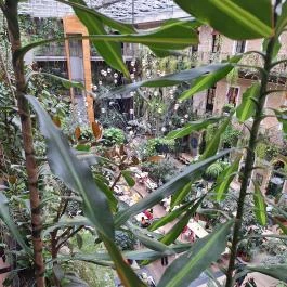 Twentysix Budapest - Belső